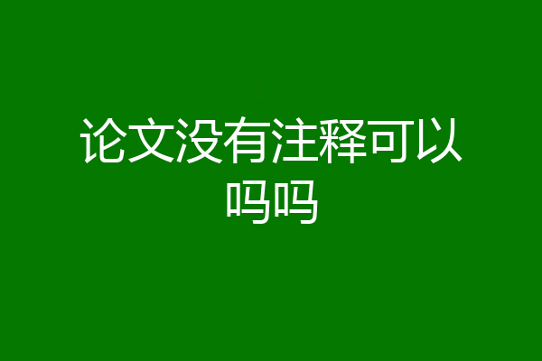 论文没有注释可以吗吗