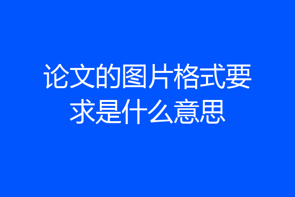 论文的图片格式要求是什么意思