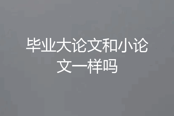 毕业大论文和小论文一样吗
