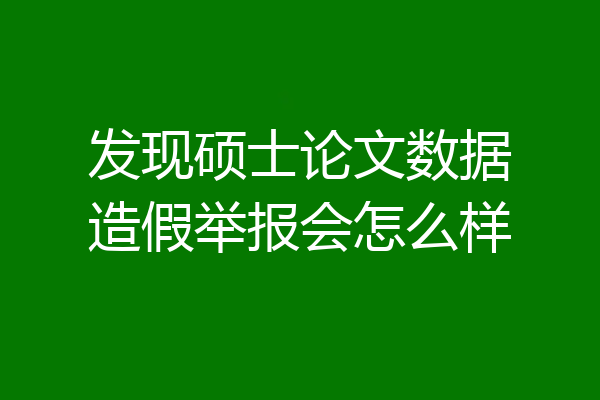 发现硕士论文数据造假举报会怎么样