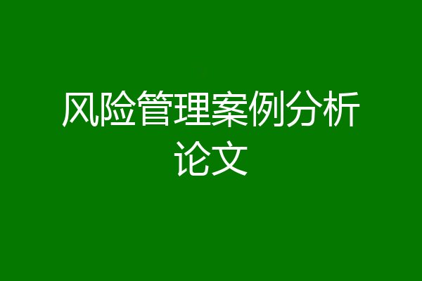 风险管理案例分析论文