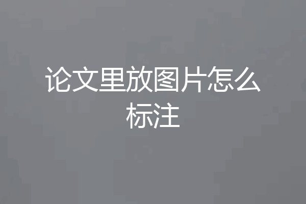 论文里放图片怎么标注