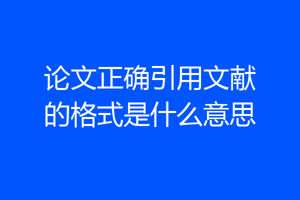 论文正确引用文献的格式是什么意思