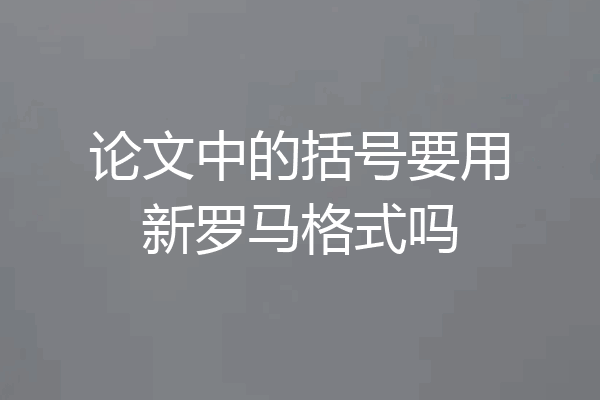 论文中的括号要用新罗马格式吗
