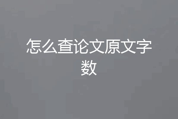 怎么查论文原文字数