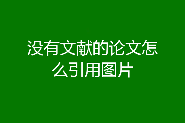 没有文献的论文怎么引用图片