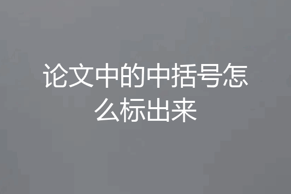 论文中的中括号怎么标出来