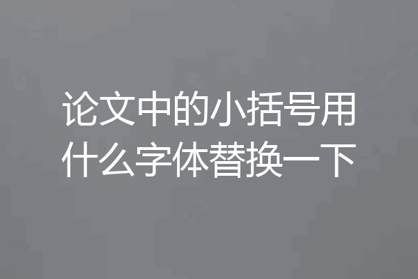 论文中的小括号用什么字体替换一下