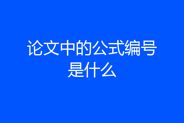 论文中的公式编号是什么