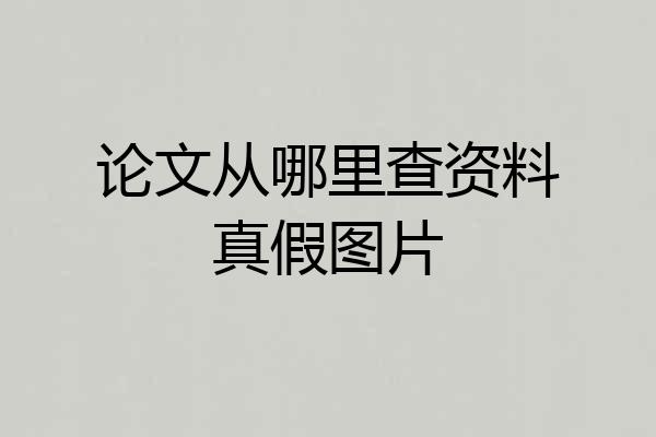 论文从哪里查资料真假图片