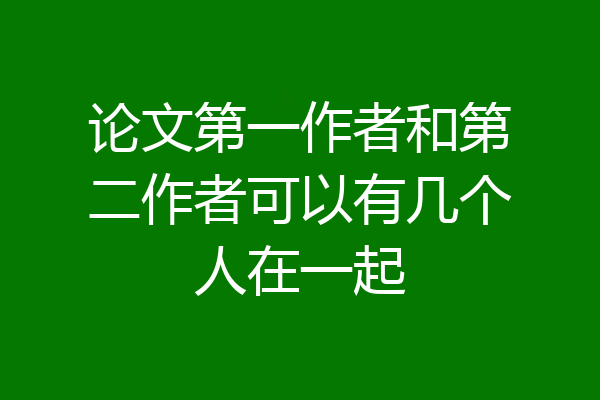 论文第一作者和第二作者可以有几个人在一起