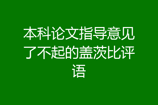 本科论文指导意见了不起的盖茨比评语