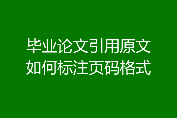 毕业论文引用原文如何标注页码格式