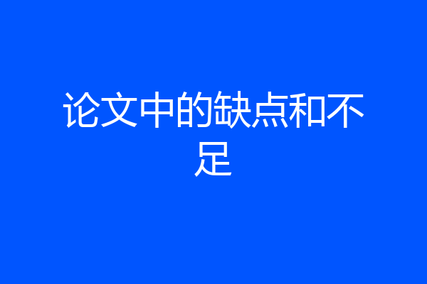 论文中的缺点和不足