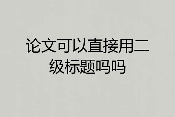 论文可以直接用二级标题吗吗