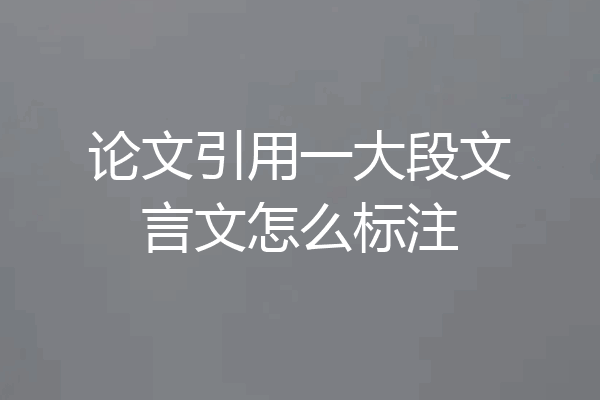 论文引用一大段文言文怎么标注
