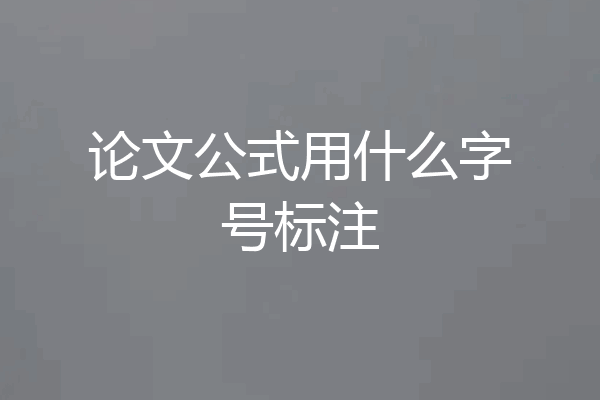 论文公式用什么字号标注