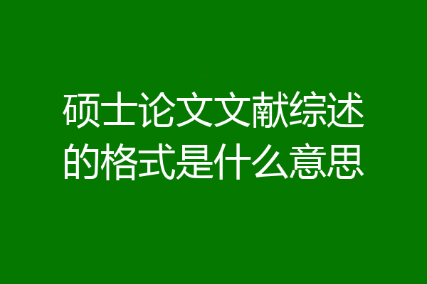 硕士论文文献综述的格式是什么意思
