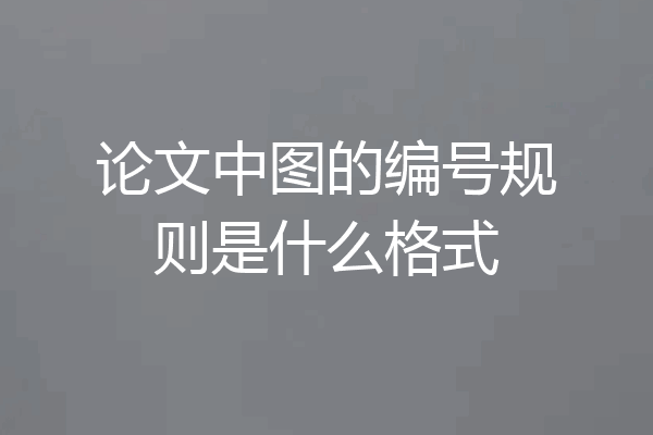 论文中图的编号规则是什么格式