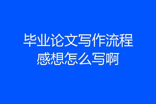 毕业论文写作流程感想怎么写啊
