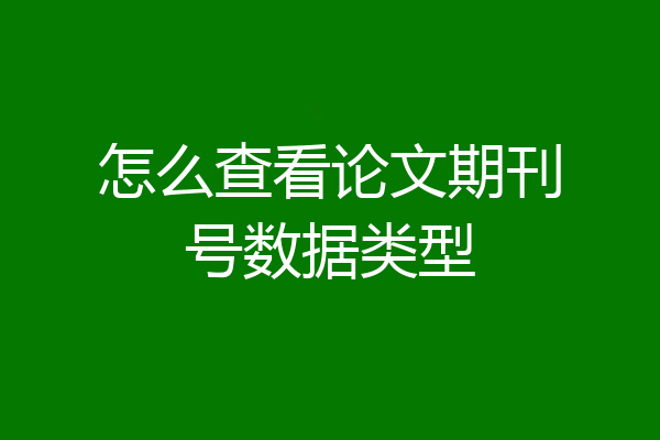 怎么查看论文期刊号数据类型
