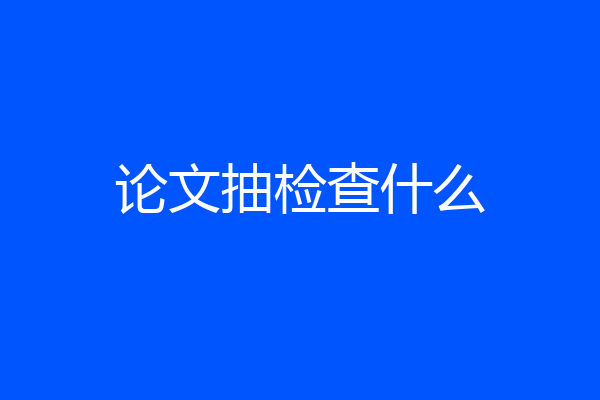 论文抽检查什么