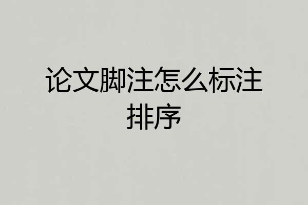 论文脚注怎么标注排序