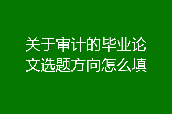 关于审计的毕业论文选题方向怎么填