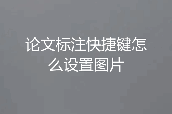 论文标注快捷键怎么设置图片