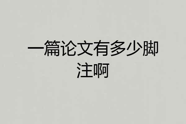 一篇论文有多少脚注啊