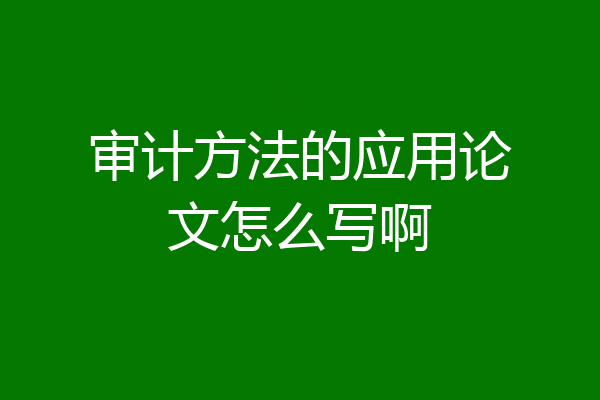 审计方法的应用论文怎么写啊