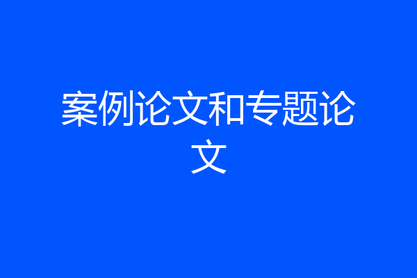 案例论文和专题论文