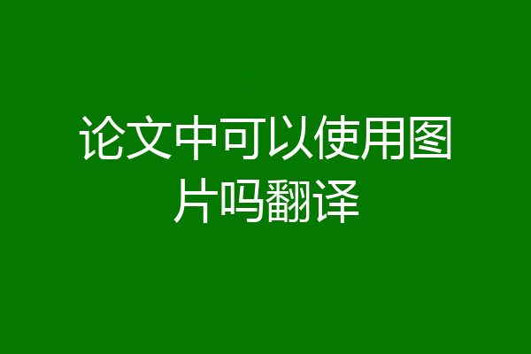 论文中可以使用图片吗翻译