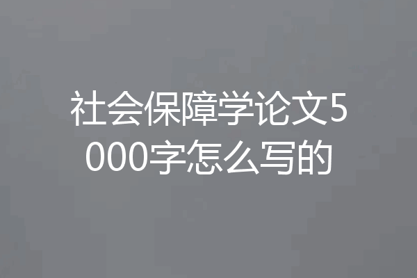 社会保障学论文5000字怎么写的