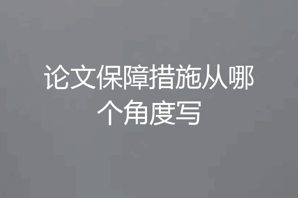 论文保障措施从哪个角度写