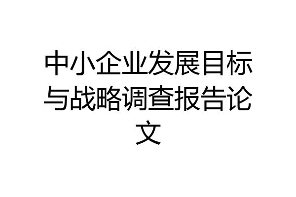 中小企业发展目标与战略调查报告论文