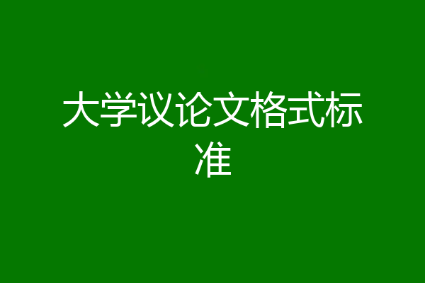 大学议论文格式标准
