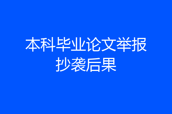 本科毕业论文举报抄袭后果