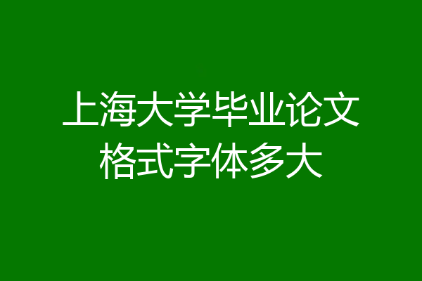 上海大学毕业论文格式字体多大