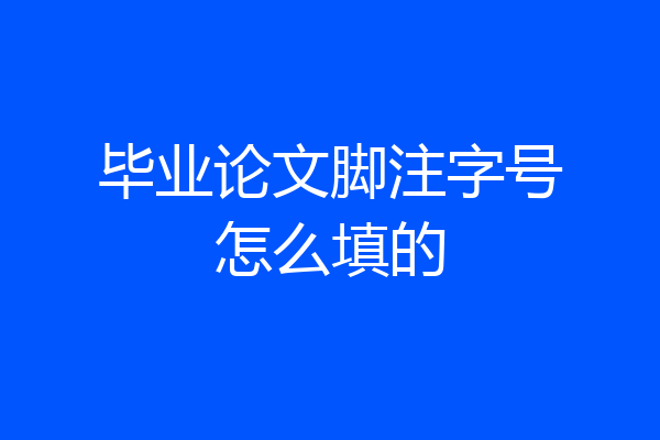毕业论文脚注字号怎么填的