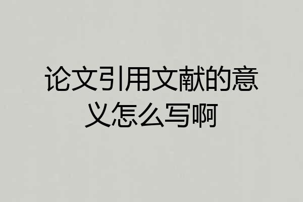 论文引用文献的意义怎么写啊