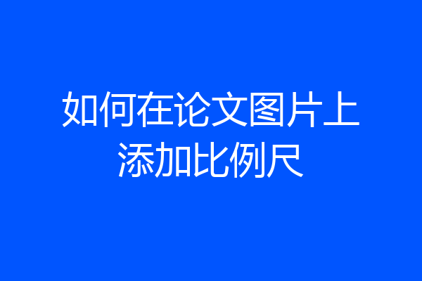 如何在论文图片上添加比例尺
