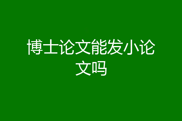 博士论文能发小论文吗