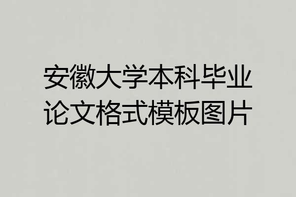 安徽大学本科毕业论文格式模板图片