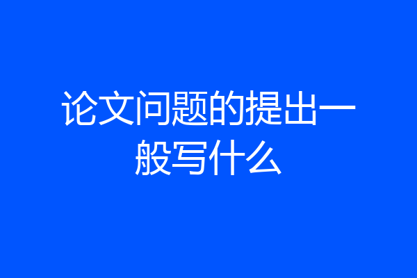 论文问题的提出一般写什么