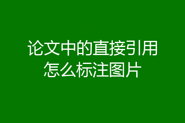 论文中的直接引用怎么标注图片