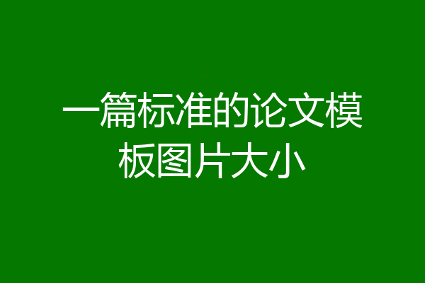 一篇标准的论文模板图片大小