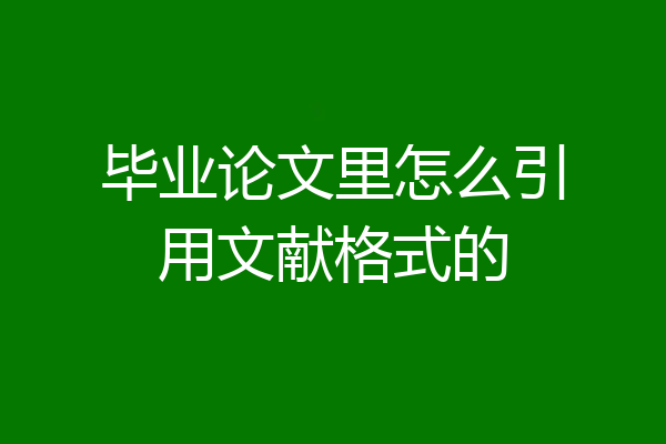 毕业论文里怎么引用文献格式的