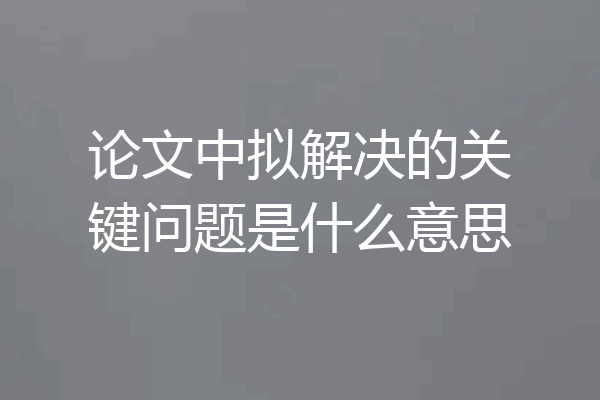 论文中拟解决的关键问题是什么意思