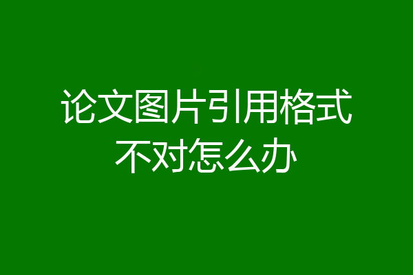 论文图片引用格式不对怎么办